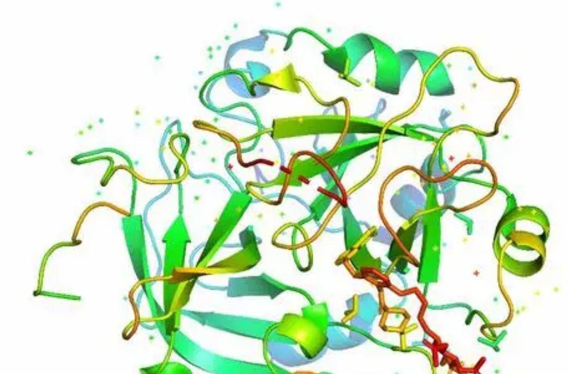 也就是说,动物体内的蛋白质分子结构受到朊病毒的影响,改变了自身的