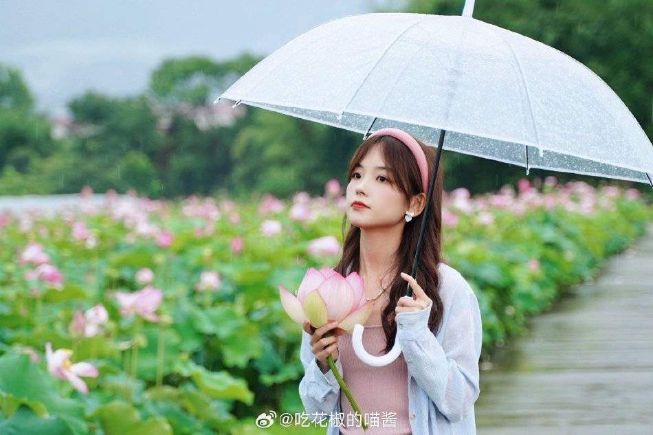 王冰冰一组夏日采莲写真照 手持彩莲和雨伞 既少女感十足 又美得让人窒息！
