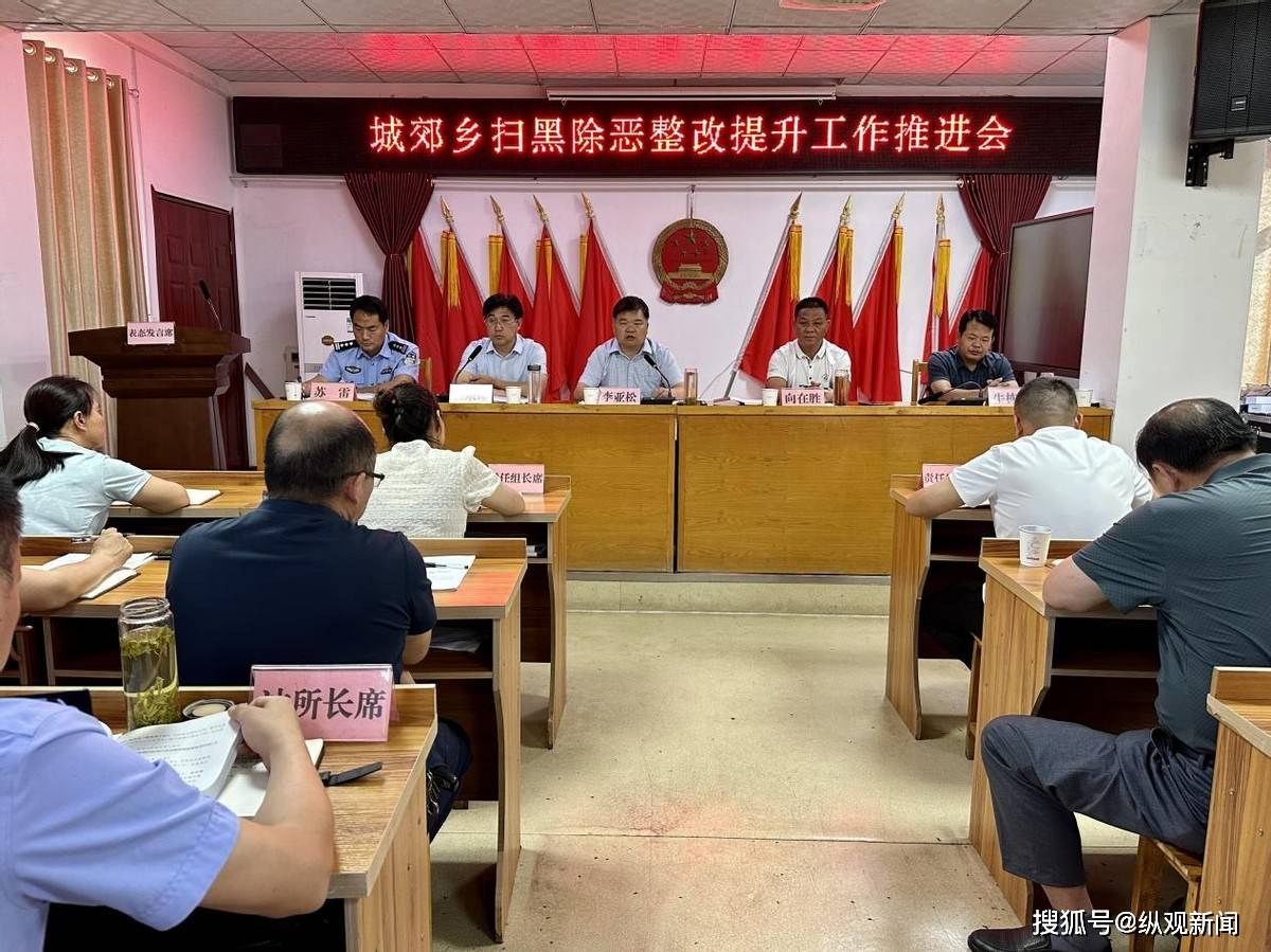 桐柏县委政法委副书记向在胜,桐柏县公安局副局长苏雷出席并讲话