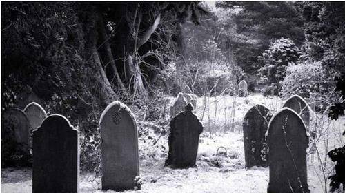 作为僻静之地,古庙很可能成为盗贼的行动地点,若是不小心擅闯禁地,很