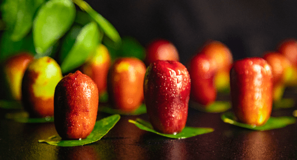 "特聘农技员 科普宣传"助推"武隆猪腰枣"地理标志 农产品产业发展