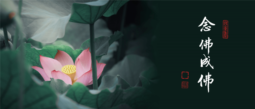 67净语录 | 为什么净土是极难信之法?_法门_极乐世界_天眼