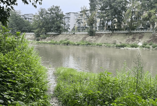 成都两男子救溺水女子后失联,网友：没救援经验千万别直接下水