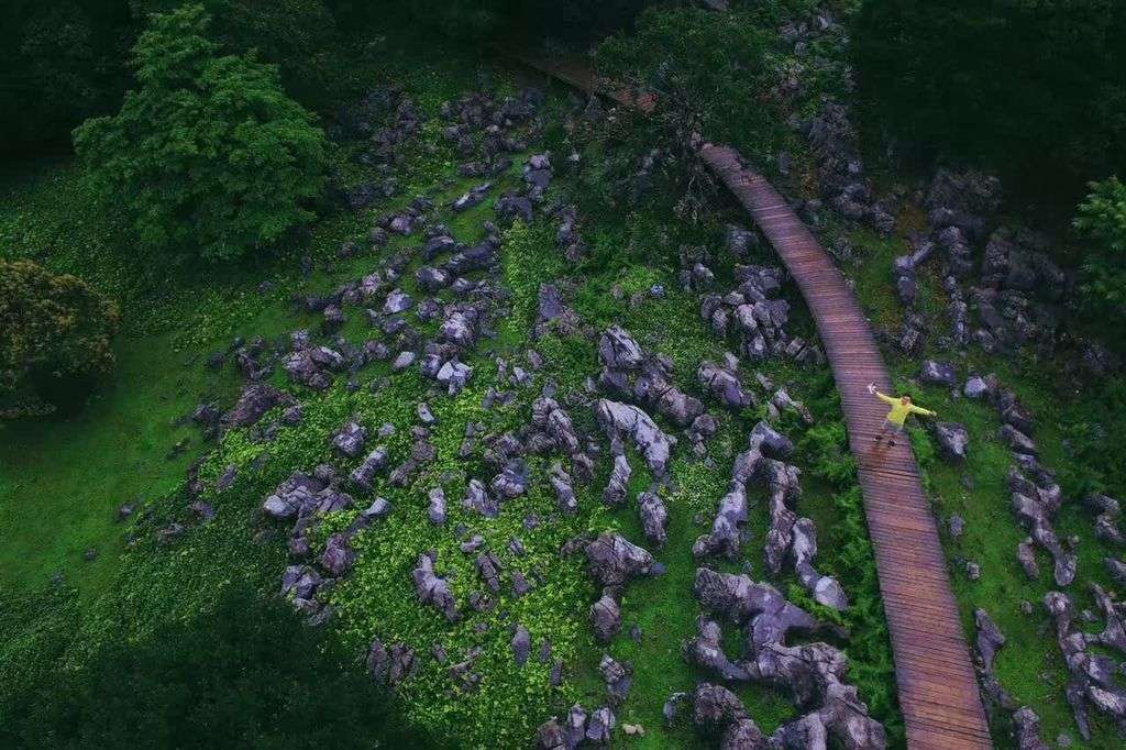乐享云南|美景·师宗菌子山_旅游_景区_气候