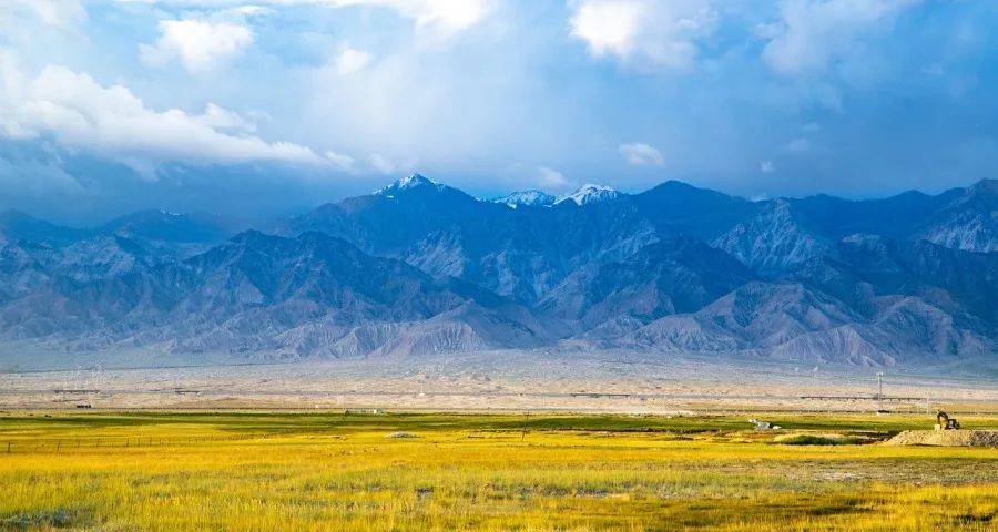 京东天猫早就不是家电零售电商了-家电圈官网