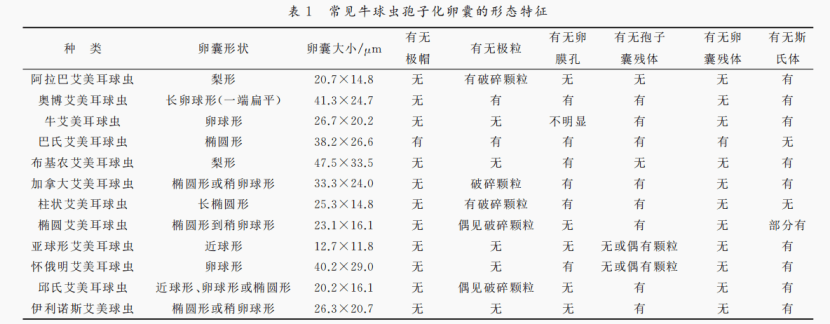 犊牛感染球虫病之后都有哪些危害呢？