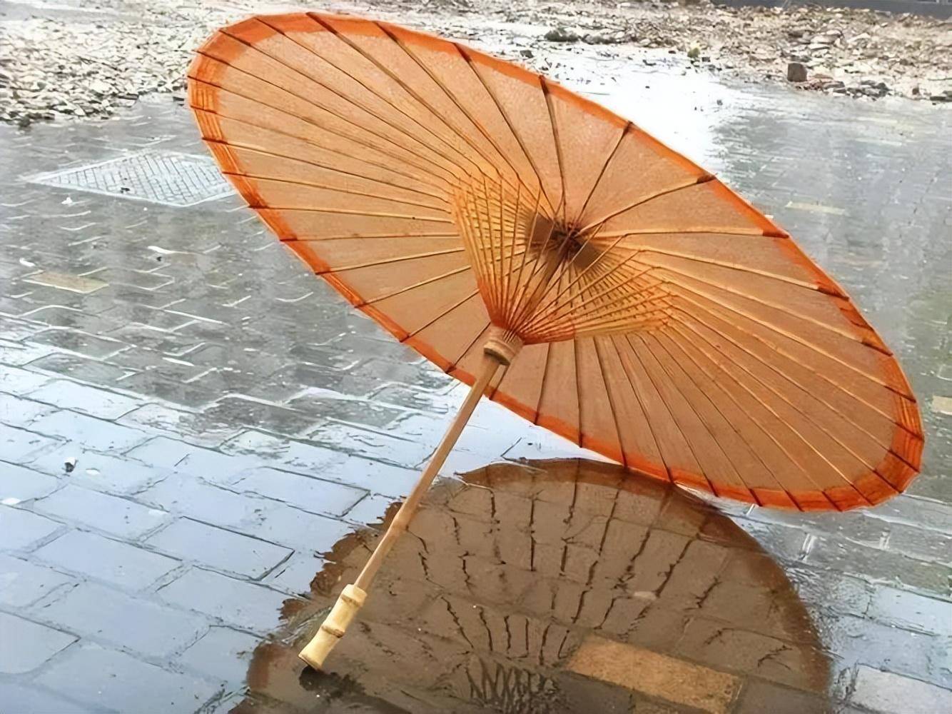 一把精致的雨伞,透着微微的光泽,仲夏,雨伞是女性的美惠伴侣