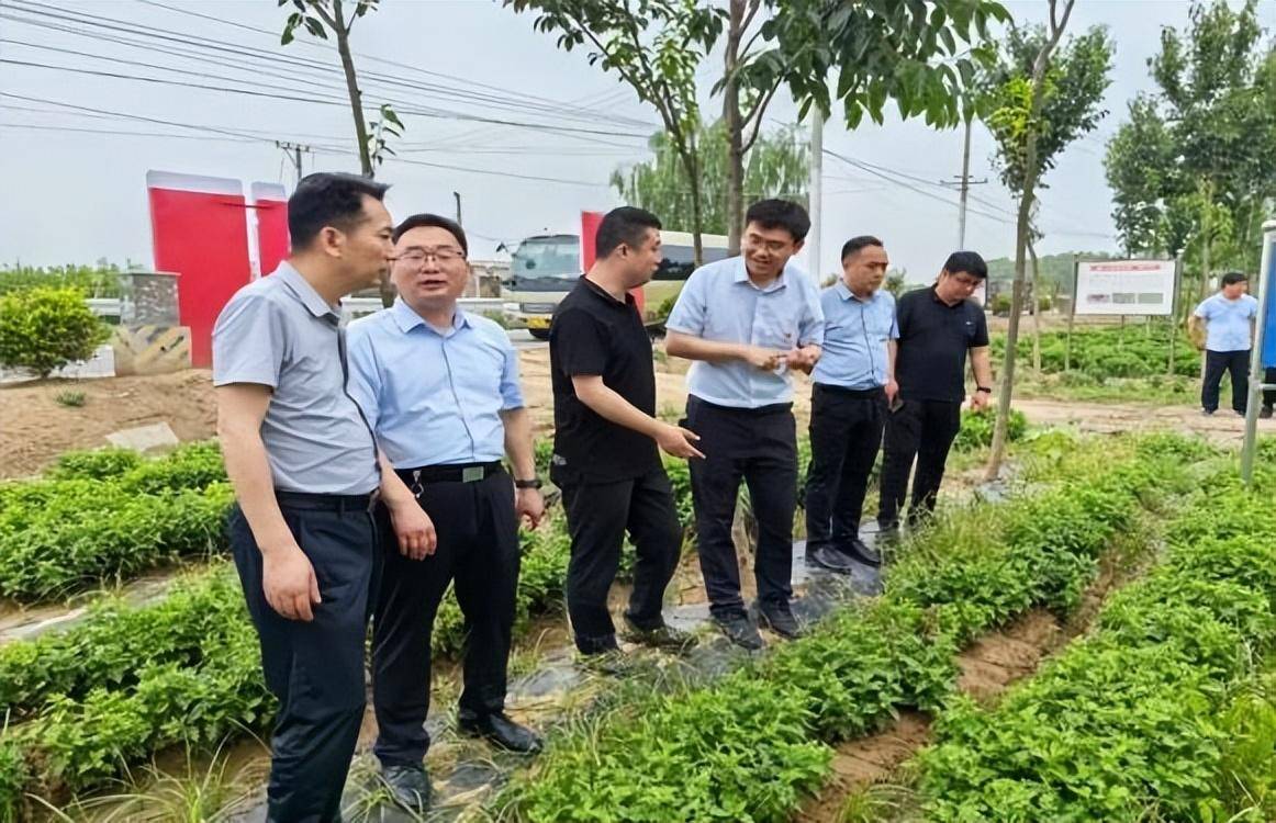 助力南乐县乡村振兴,九三学社河南中医药大学委员会在行动_张勤生