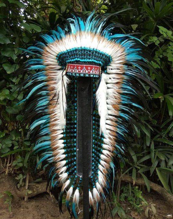 华丽的羽冠,勇士的王冠:一顶印第安人帽子背后的荣耀与尊严_亨利_部落