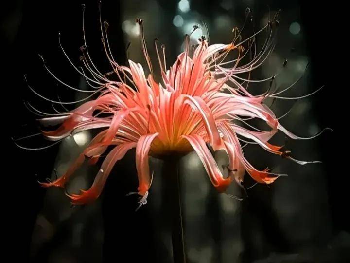 天选之人:命带高维智慧,佛道双修,躬身入局_使命_社会_进步