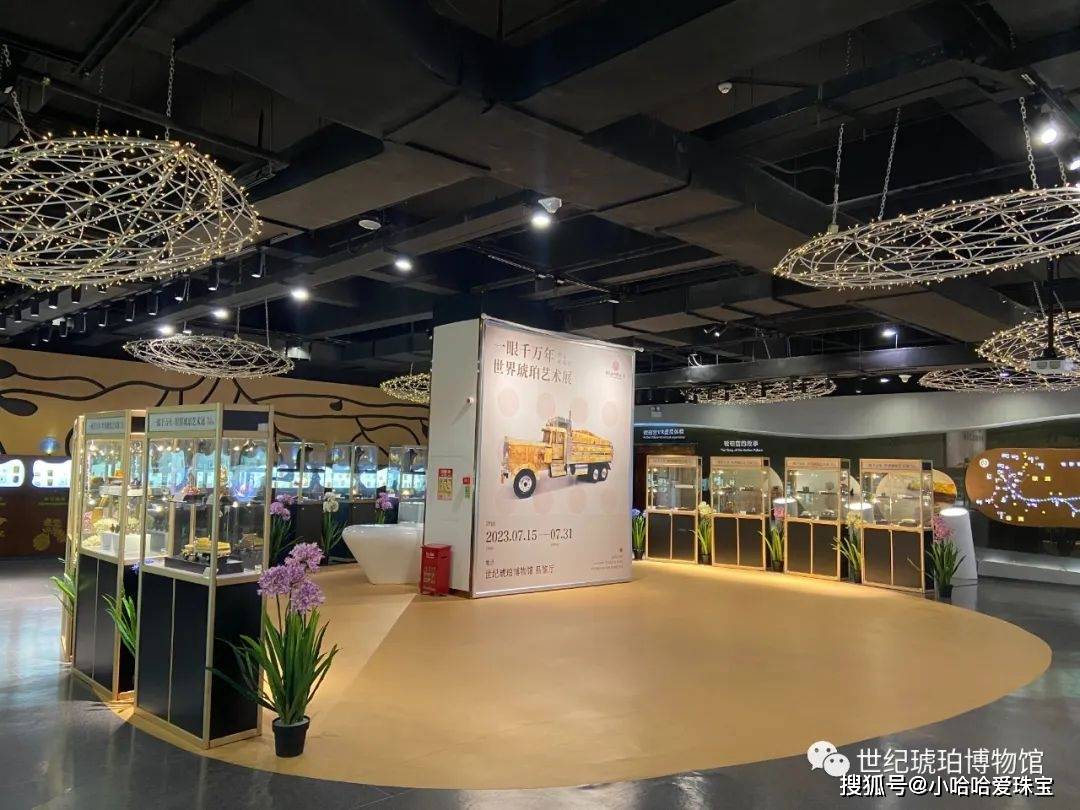 世纪琥珀博物馆"一眼千万年——世界琥珀艺术展"精品回顾展开幕_展览