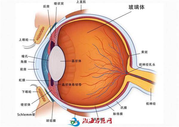 二期手术的目的是通过玻切手术清理积血,修复眼底结构,保住眼球,预