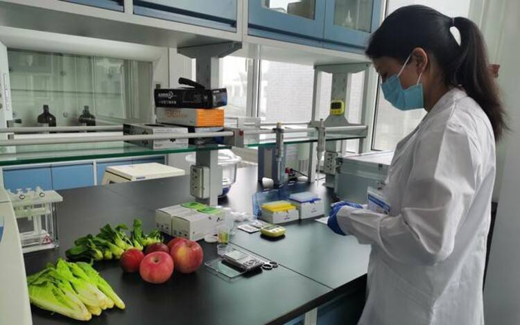 农产品食品检验员证怎么报考？报考条件有哪些？工作内容 有啥用？