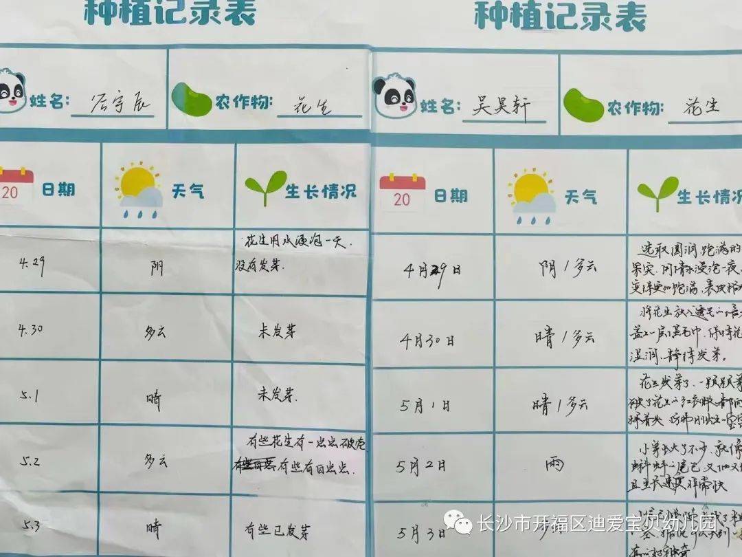 长沙市开福区迪爱宝贝幼儿园课程故事