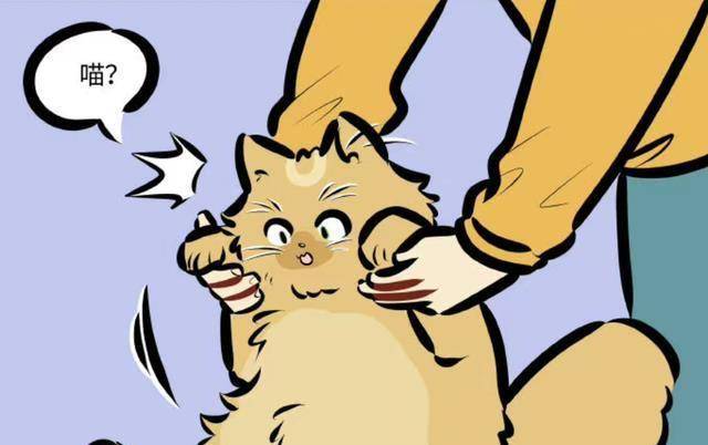 非人哉:林恩变成猫后,泥泥对它又抱又亲,全然不知道自己很危险_艾勒