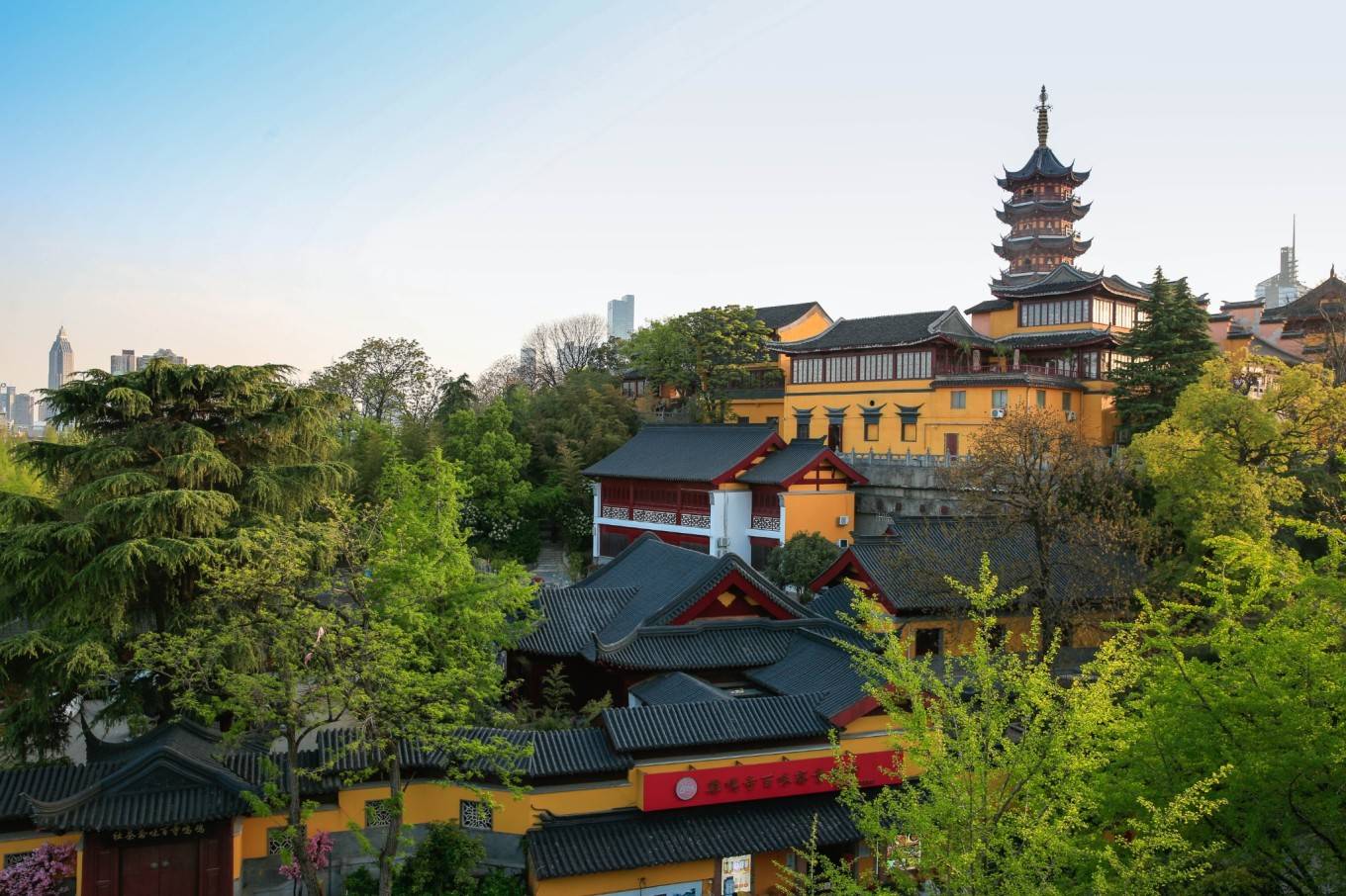 旋欢乐颂宋凯 鸡鸣寺_大道_樱花_南朝