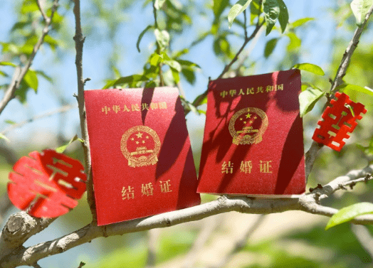 孙杨张豆豆也有晒出结婚证件照,两个红本本放在树枝上,两侧贴上喜字