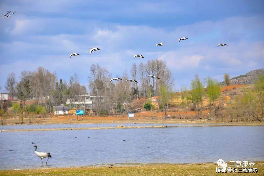 贵州夏天避暑最凉快的地方,毕节威宁125元/天包吃住_距离_草海_交通