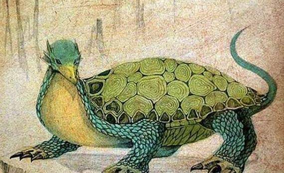 旋龟是山海经中的奇异生物,长得奇怪还帮助大禹治过水_鳄鱼_爬行动物