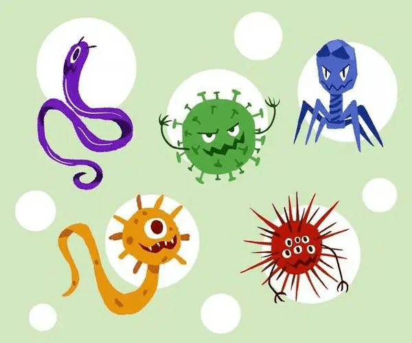 带你五分钟认识病毒大全_细胞_宿主_传播