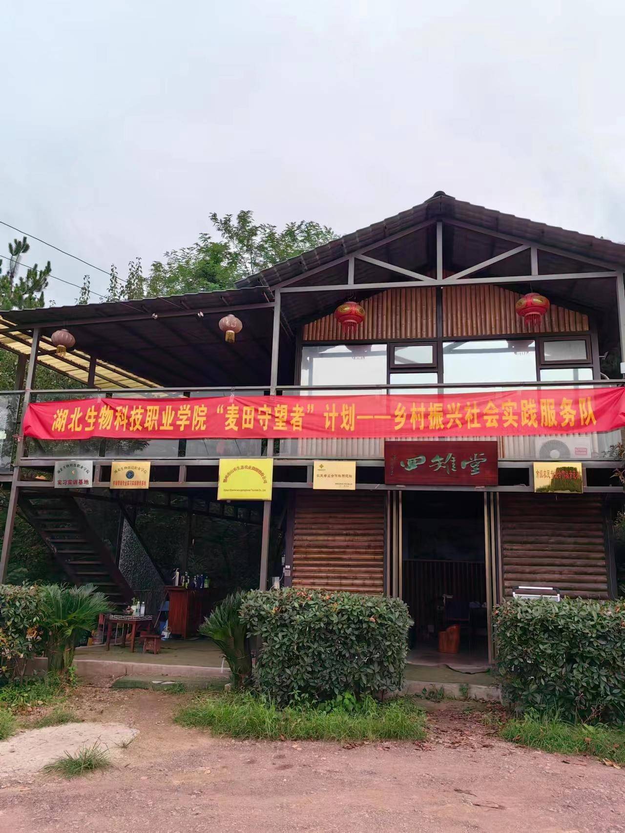 「散文」这里的七彩山鸡别样彩
