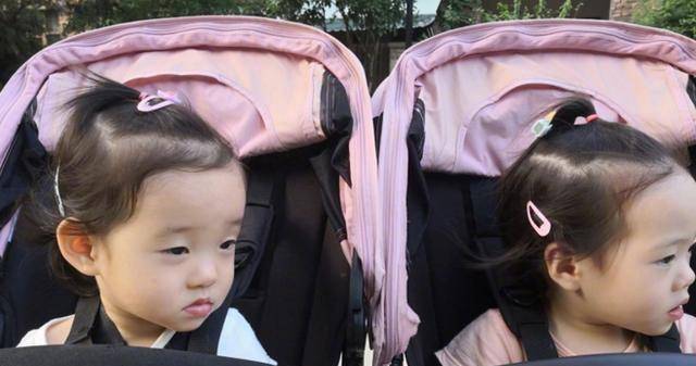 明星的双胞胎龙凤胎孩子,网友:最可爱的是郝蕾家的俩宝贝!