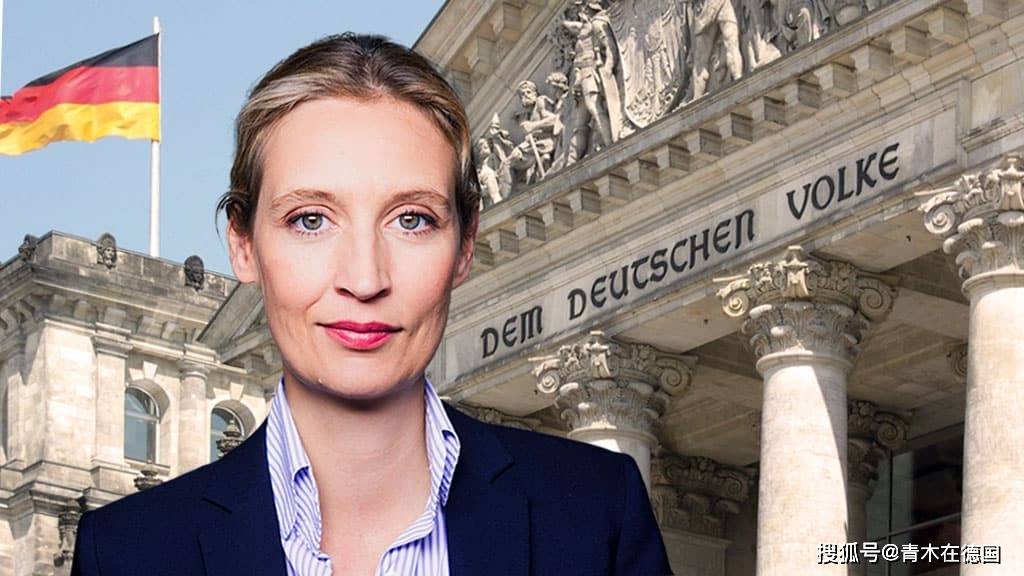 德国政治学家约翰内斯·希尔杰对 bams 表示:"德国选择党目前正在从