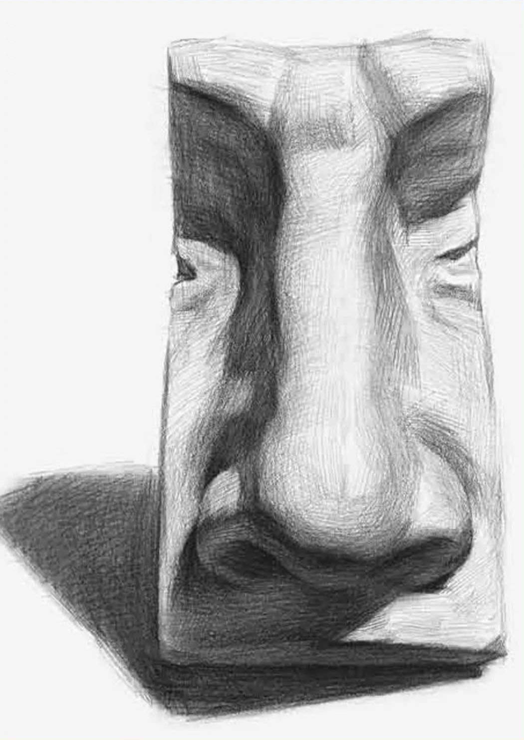 素描石膏鼻子如何快速入门?郑州画室带你详细了解素描石膏鼻子!
