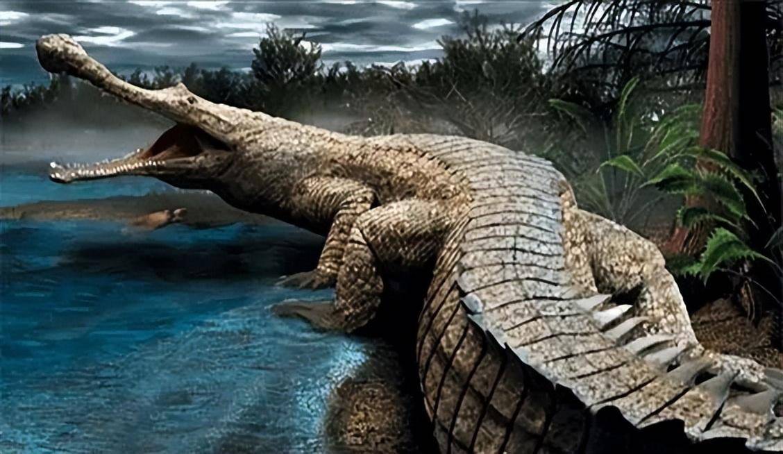 体型庞大的史前生物帝鳄,能否撼动"海洋之王"巨齿鲨的霸主地位_生活