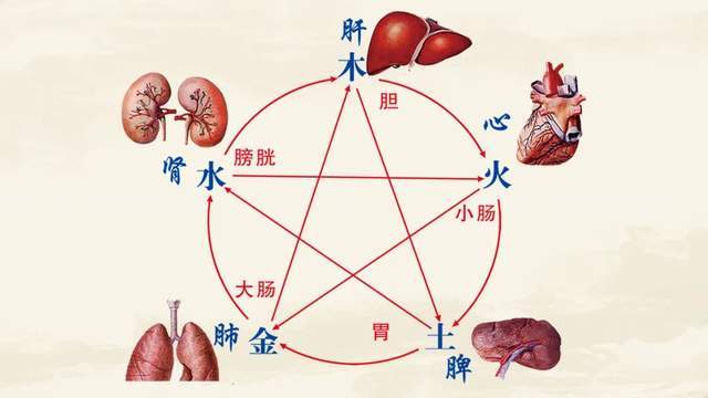 都62岁的人了