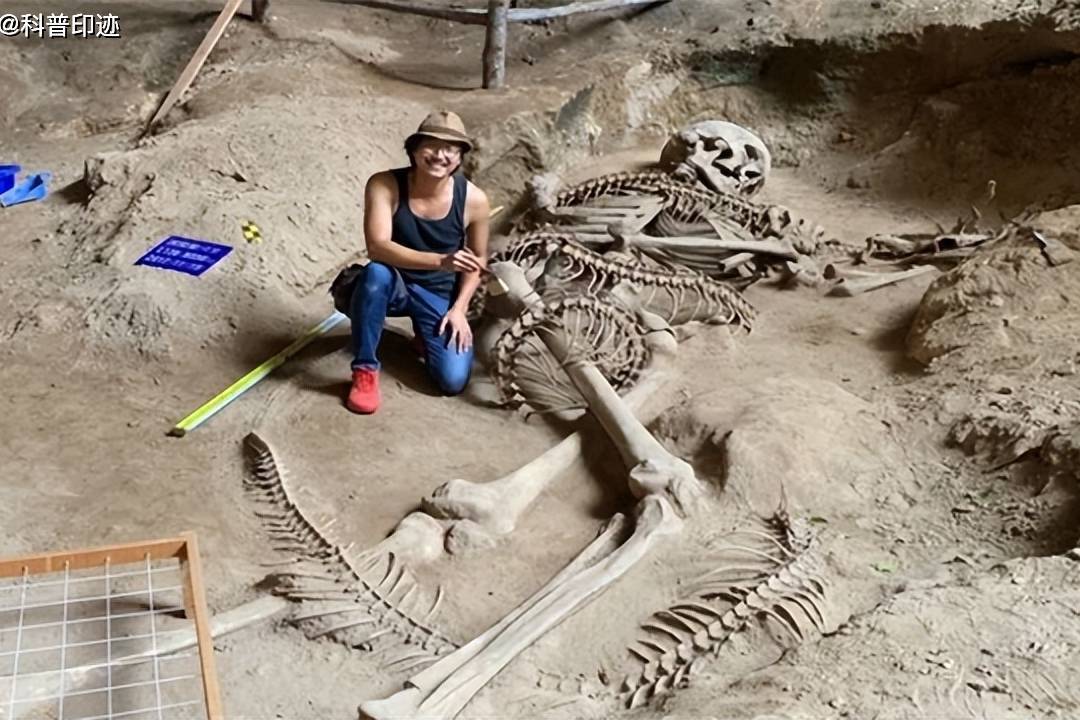 “骨骼”泰国洞穴中发现了一具5米长的巨人骨架。科学家已经找到了他在那里的原因