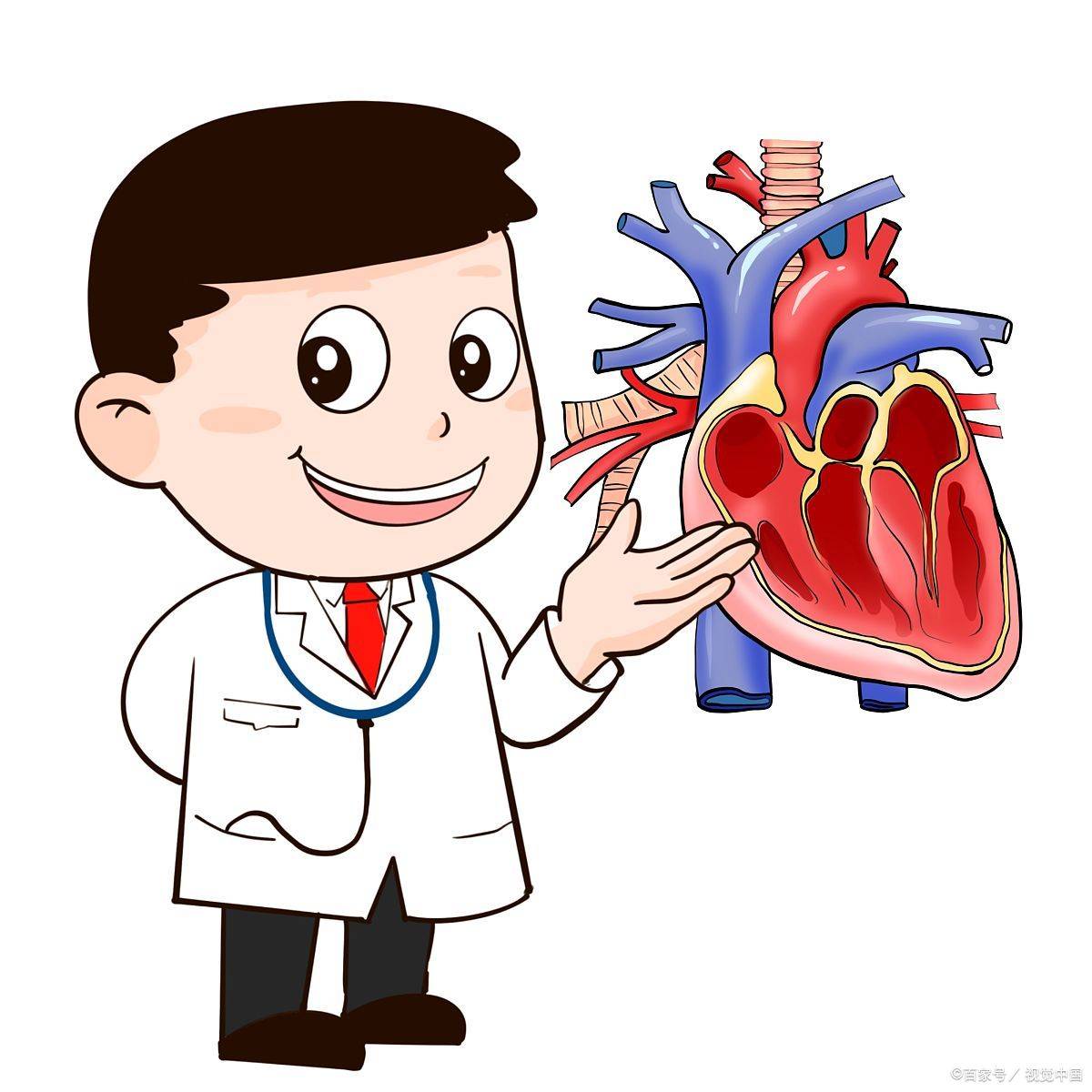 诺迪康胶囊:冠心病常识看这里!_因素_疾病_胸痛