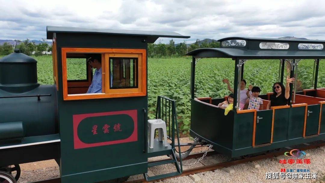 美景相得益彰"大头鱼""牛虎铜案"共同描绘出彩色水稻和普通水稻以绿色