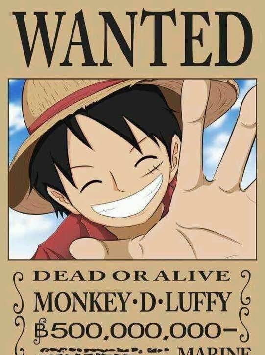 《海贼王》两年后的悬赏令画风突变,娜美和罗宾真美真性感!