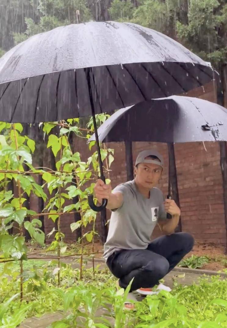 謝霆鋒暴雨中給菜打傘,眉頭深鎖操碎心!