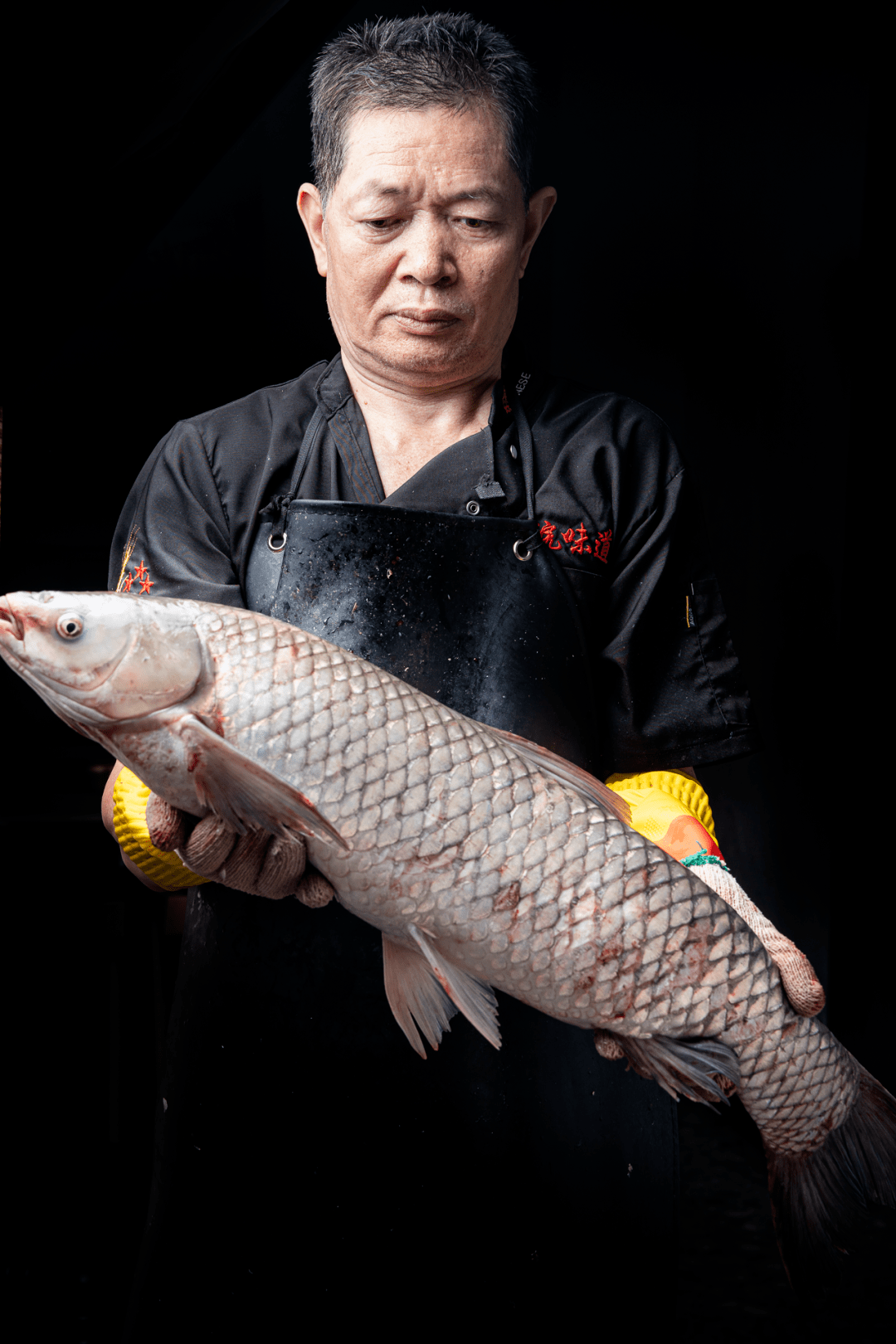 够鲜韧,才是老广心头好 |鲩味道的脆肉鲩都是来自中山东升的自有鱼塘