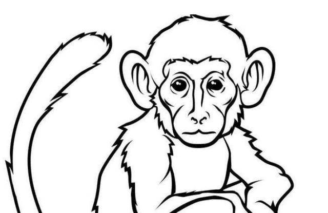 民间故事:书生救了只六耳猕猴,半夜被白衣美女叫醒:恩人快走_马己末