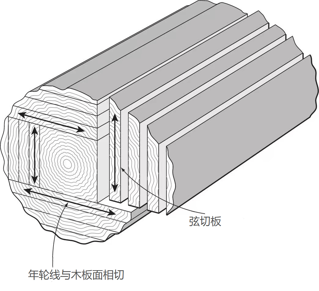 径向切面图片