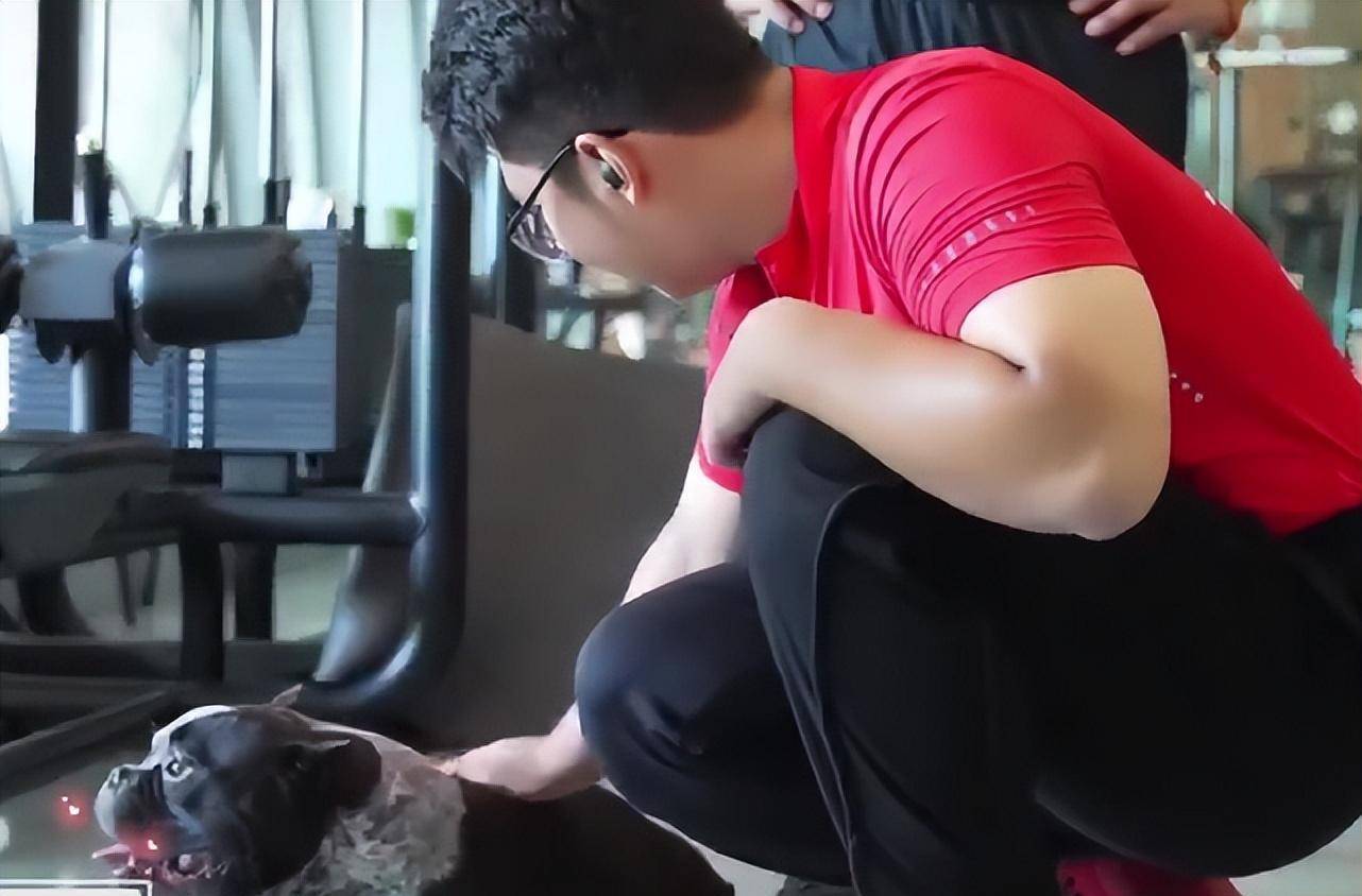 郭涛罕晒15岁儿子日常,石头等比例长大,身材健壮阳光帅气_网友_健身房