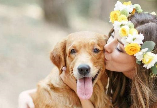 养狗是因为狗爱干净?