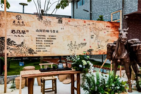 老马帮“庄园启航+七星孔雀发布暨品鉴会”点燃高端普洱消费信心