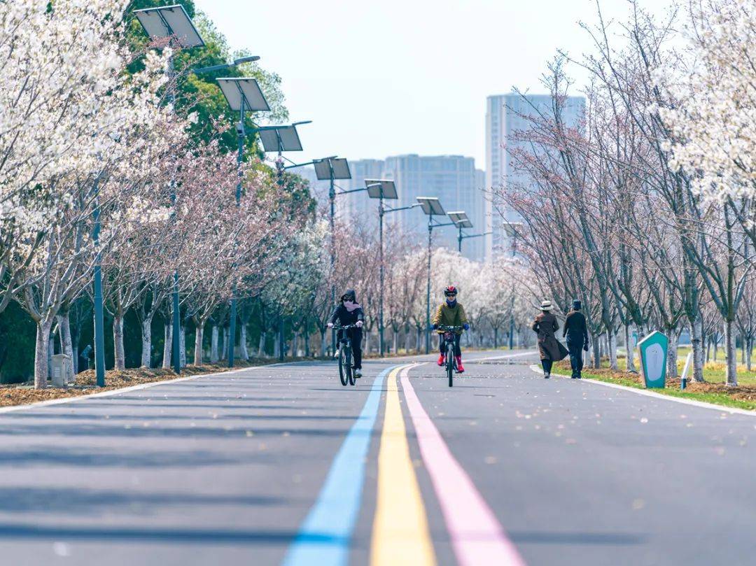 徜徉在苏州万公堤,时光森林绿意盎然,夏季荷香四溢,快来打卡吧_吴江