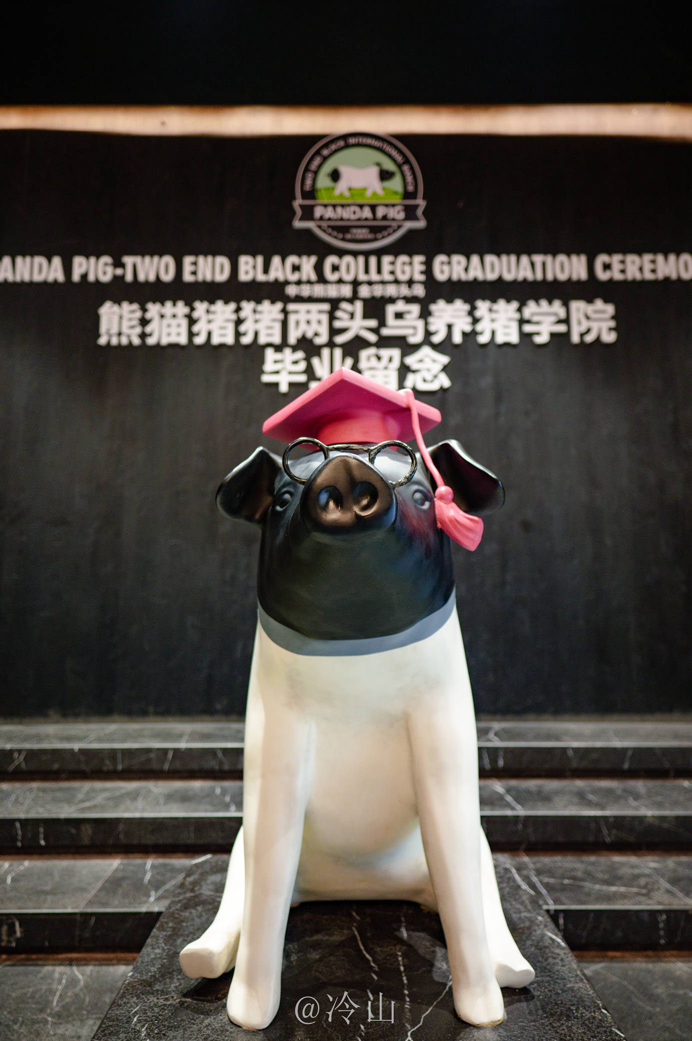 逛完博物馆,不知道你对这堪比熊猫的两头乌你多少了解呢?