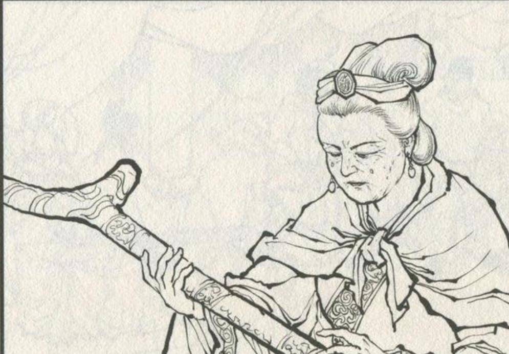 夫人城冼英飞刀伤韦洸,见信物冼夫人挥泪降隋_于豹_徐澄_大将军