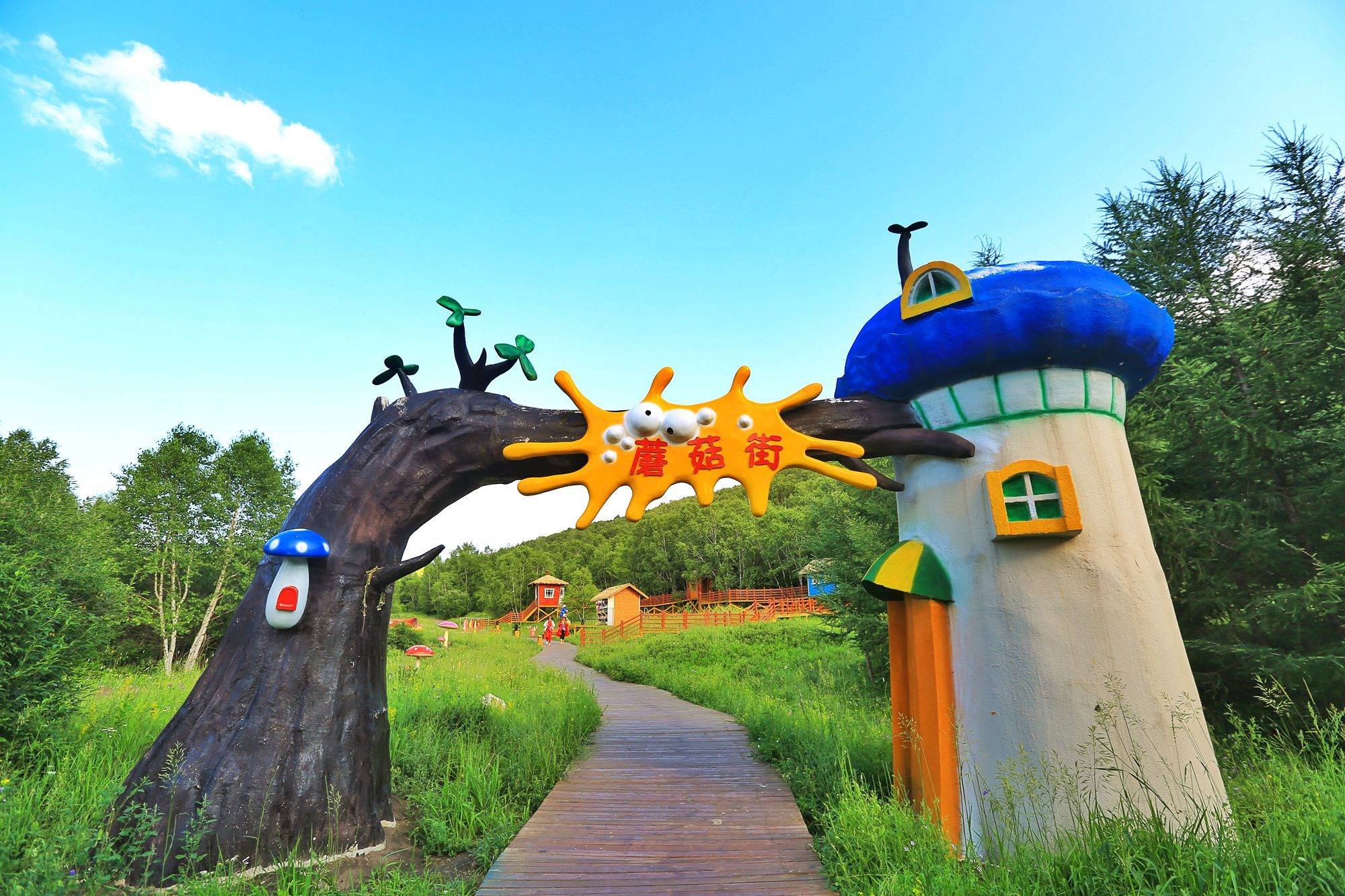 承德坝上神仙谷七彩森林,休闲避暑采蘑菇,体验浪漫的童话世界_草原