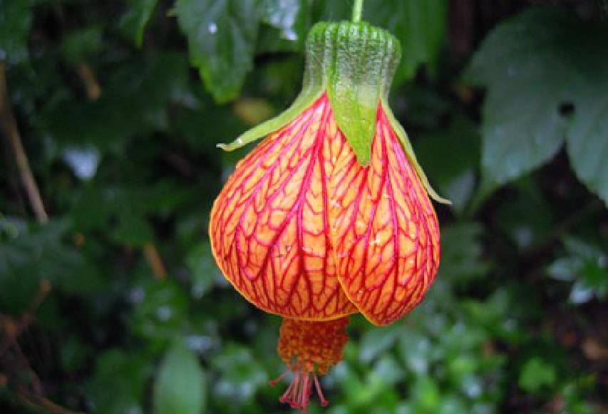 引人朋友圈里那些深思熟虑的经典名言,内涵很深,让我收获颇多_生活