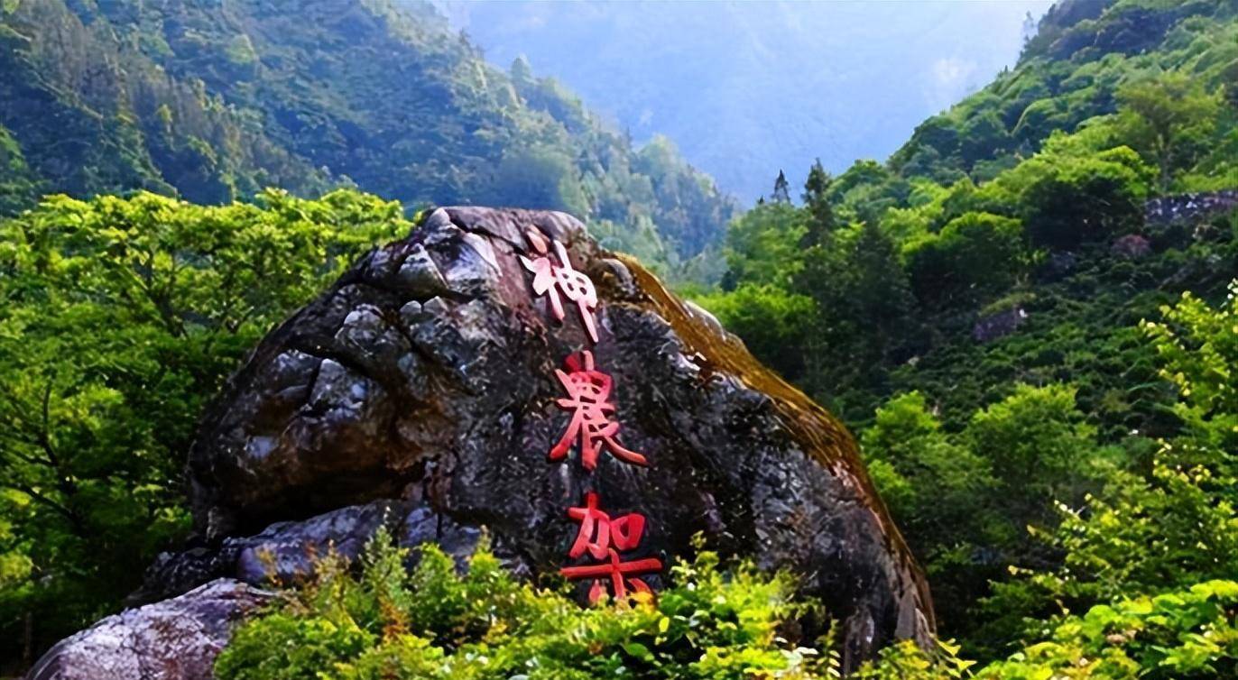 为何神农架深处被列为禁区?