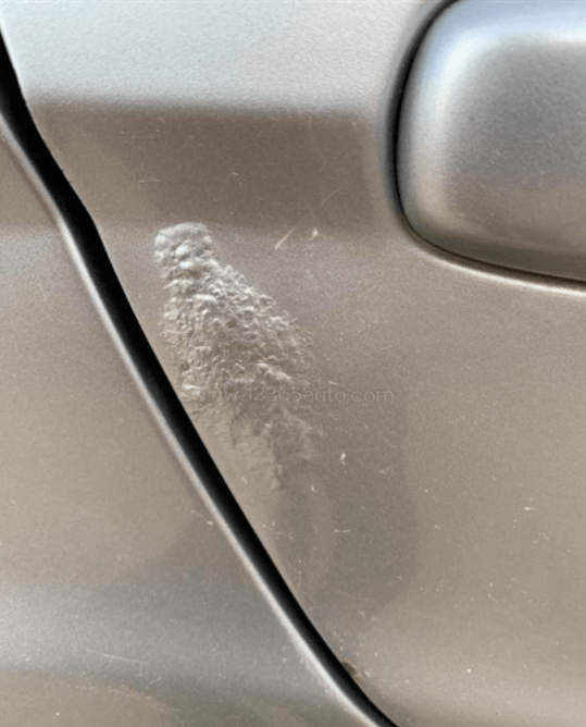 落叶堆积也会腐蚀车漆?智博士为爱车关键抵挡!_搜狐汽车_搜狐网