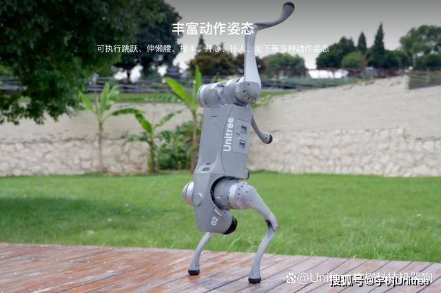 什么是人工智能机器狗?_技术_环境_能力