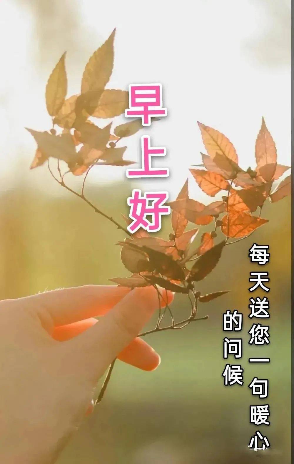 8张最美秋日风景早上好图片带字带祝福语 好看的朋友圈早安问候祝福语